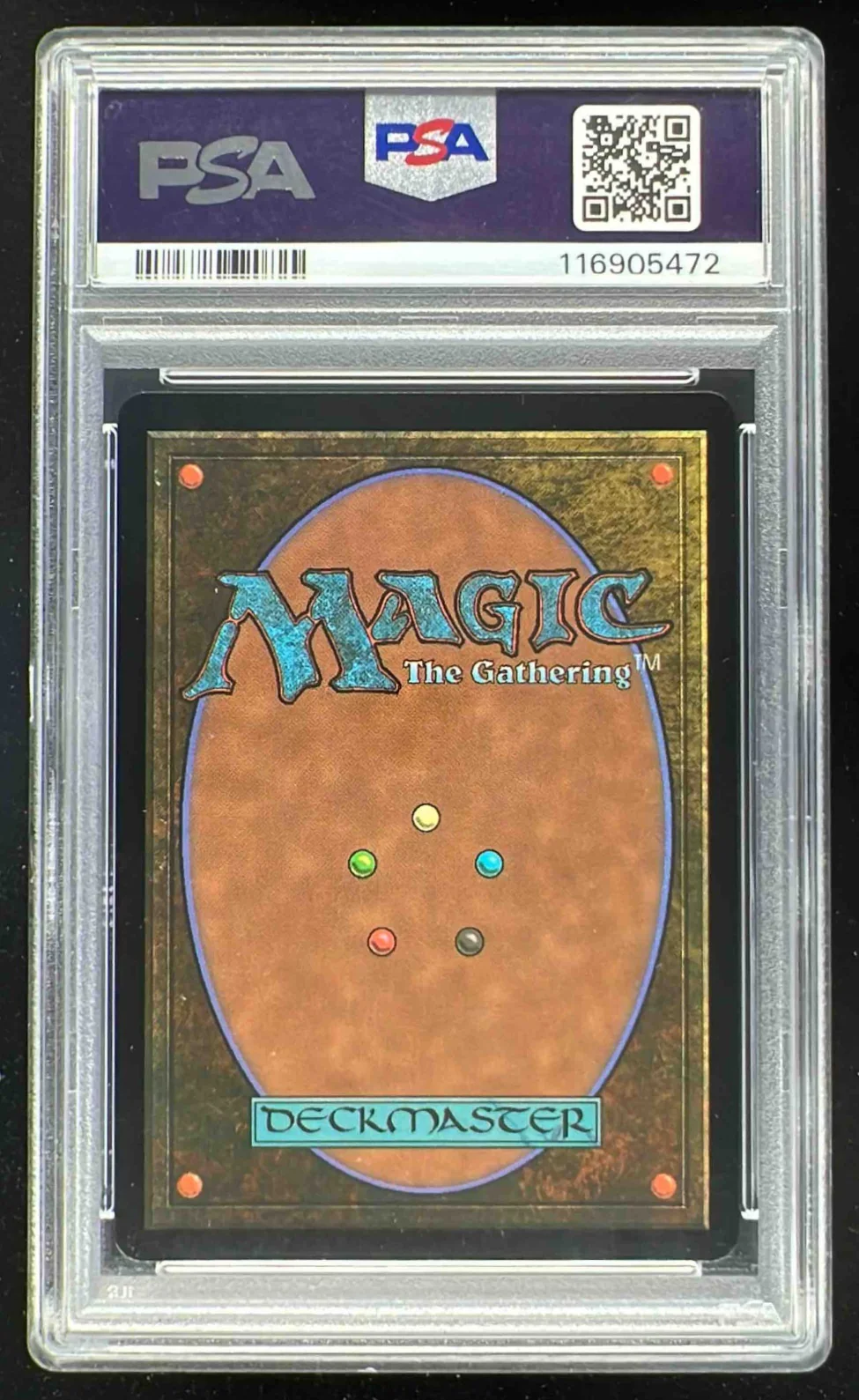 2024 Magic The Gathering Ravnica Remastered Foil Bruvac the Grandiloquent PSA 10 - Image 2
