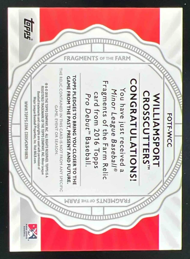 2016 Topps Pro Debut Fragments Farm Black Shirt Director Smiles Rhashan 1/1 - Image 2