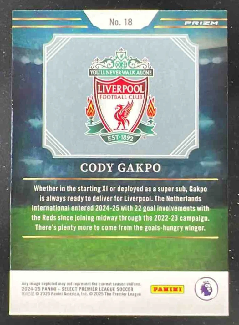 2024-25 Panini Select Premier League Artistic Impressions #18 Cody Gakpo - Image 2