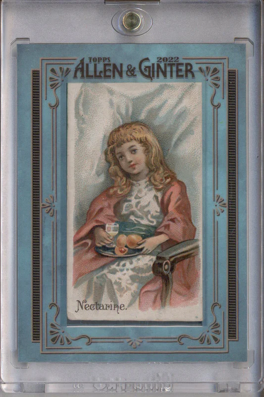 2022 Topps Allen & Ginter 1891 N12 Nectarine 1/1
