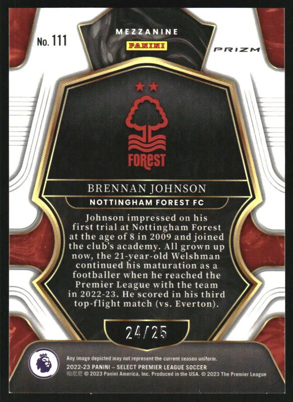 2022 Panini Select Premier League Zebra #111 Brennan Johnson RC Mezzanine /25 - Image 2